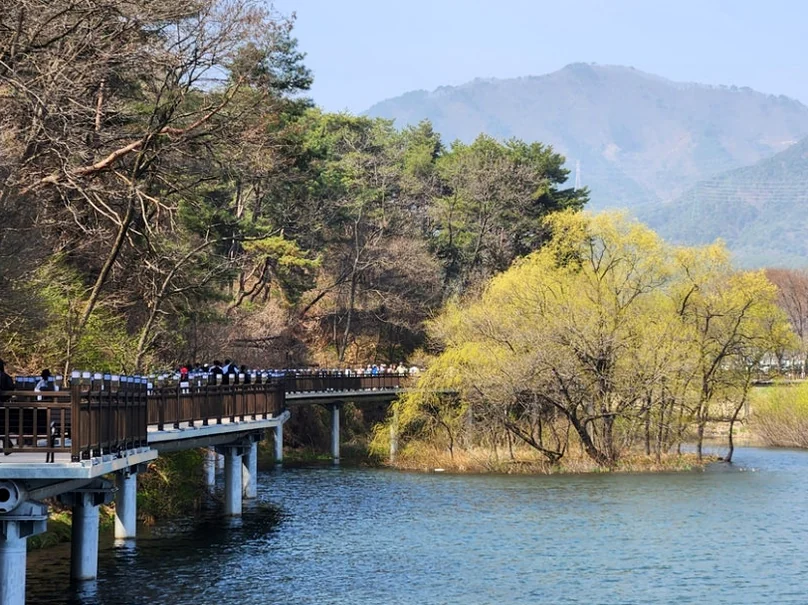 水上に続く木製デッキの遊歩道。公園の空間的な流れと、水辺を歩く没入感を演出しています。 - 癒やしと歴史が交差する、忠清北道・堤川「義林池」の極上トラベルガイド