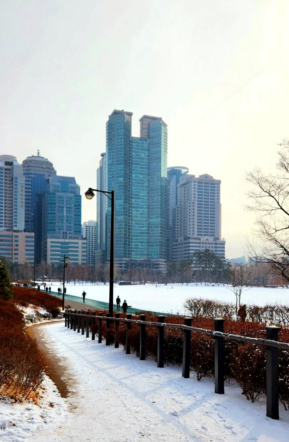 Detailed view of carefully cultivated tulips in a kaleidoscope of colors - The 2026 Seoul International Garden Show: A Verdant Tapestry of K-Culture and Design at Seoul Forest