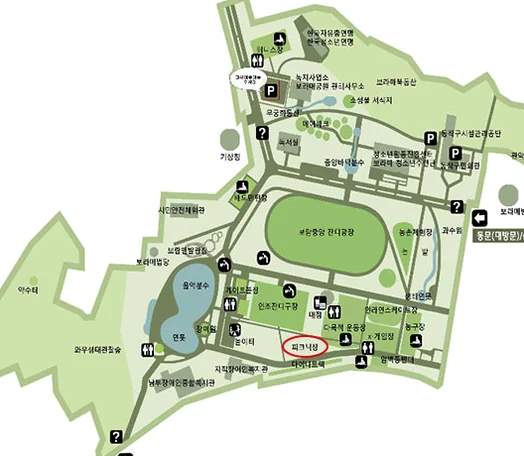 A vibrant display of tulips blooming in a meticulously designed flower bed - The 2026 Seoul International Garden Show: A Verdant Tapestry of K-Culture and Design at Seoul Forest