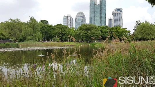 Architectural garden elements being constructed with precision and artistry - The 2026 Seoul International Garden Show: A Verdant Tapestry of K-Culture and Design at Seoul Forest