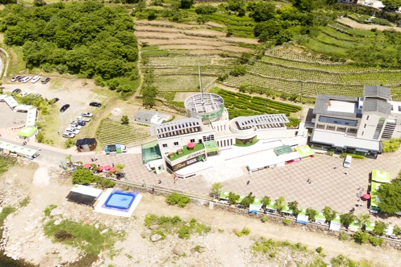 山と川の間に広がるフェスティバル会場の規模を物語る広大な空撮 - 2026年河東野生茶文化祭ガイド：韓国伝統茶の聖地で楽しむハイエンドな癒やしの旅