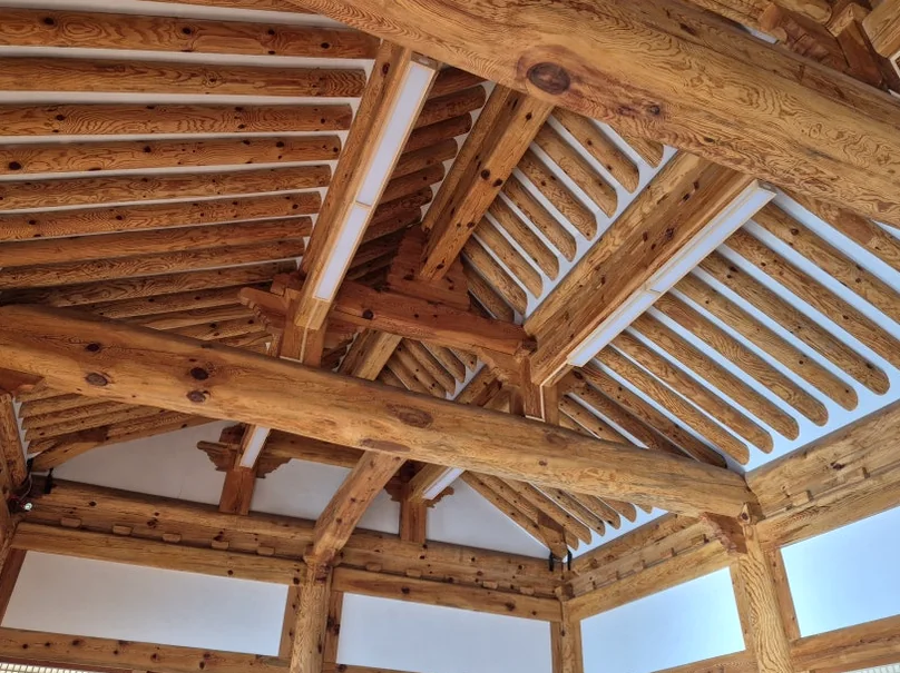 The geometric complexity of the interior ceiling, revealing the sophisticated joinery of traditional Korean timber construction - Beyond the Palace Walls: Reclaiming the Administrative Soul of Jeolla Gam-yeong