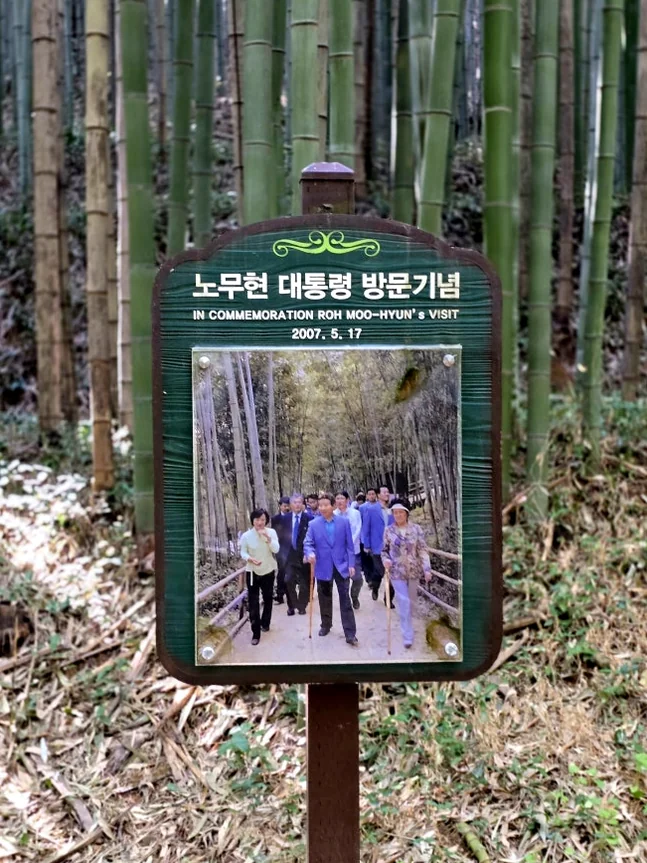 A serene trail through the bamboo forest featuring rustic wooden steps that guide the eye deeper into the green grove. - The Vertical Elegance of 죽녹원: A 2026 Masterclass in Bamboo Minimalist Living