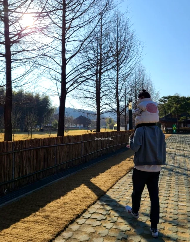 A family walking along the meta-sequoia lined path in Damyang, capturing the warm afternoon sunlight. - The Vertical Elegance of 죽녹원: A 2026 Masterclass in Bamboo Minimalist Living