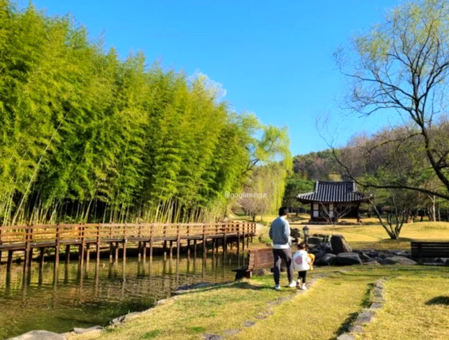 A scenic view of a bridge over a small stream within Juknokwon with visitors enjoying the tranquil environment. - The Vertical Elegance of 죽녹원: A 2026 Masterclass in Bamboo Minimalist Living