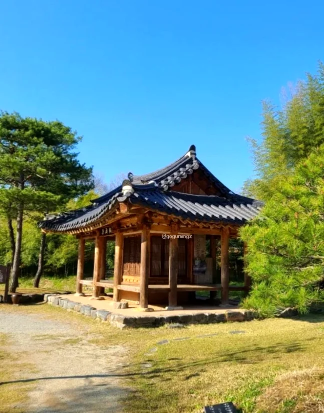 A vertical shot of a cherry blossom tree in full bloom against the backdrop of the bamboo forest. - The Vertical Elegance of 죽녹원: A 2026 Masterclass in Bamboo Minimalist Living