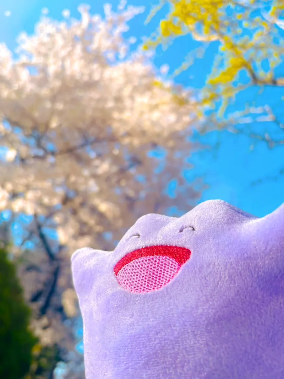 Detailed shot of the limited edition Ditto transformation series goods.