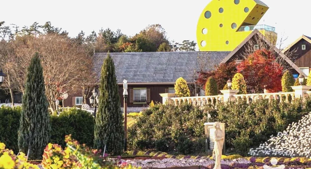 Close-up of vibrant red roses in full bloom under the sun - K-Life Hack: Imshil Cheese Theme Park's Inaugural Rose Festival in 2026