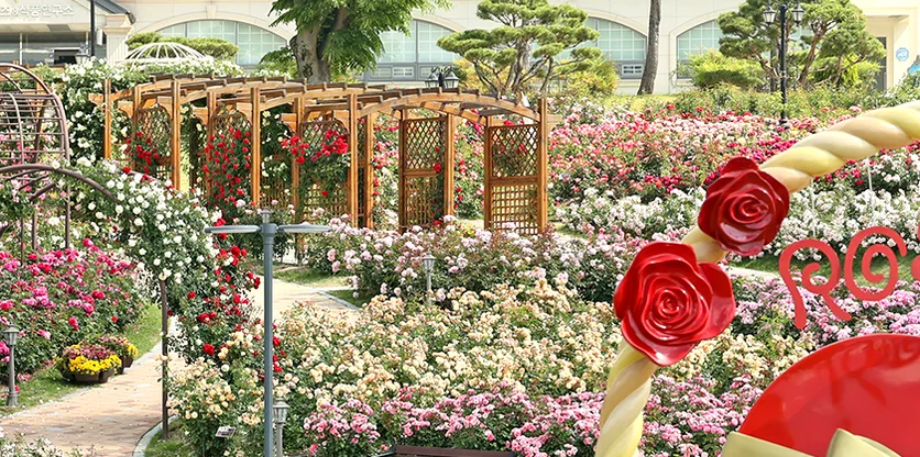 People gathering near food stalls, savoring local Imshil delicacies - K-Life Hack: Imshil Cheese Theme Park's Inaugural Rose Festival in 2026