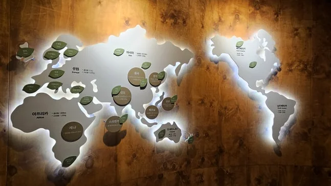 alt - The Korea Tea Museum: A 2026 Curator’s Guide to Boseong’s Emerald Sanctuary