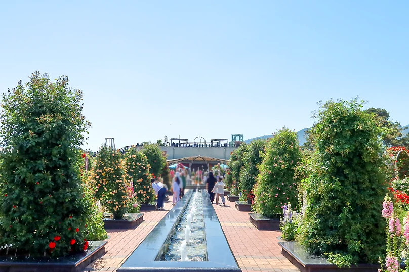 A symmetrical water feature creates a cooling visual path, leading the eye through manicured greenery under the clear Gokseong sky. - The Floral Monarchy: Rediscovering Nostalgia at Gokseong Seomjingang Train Village