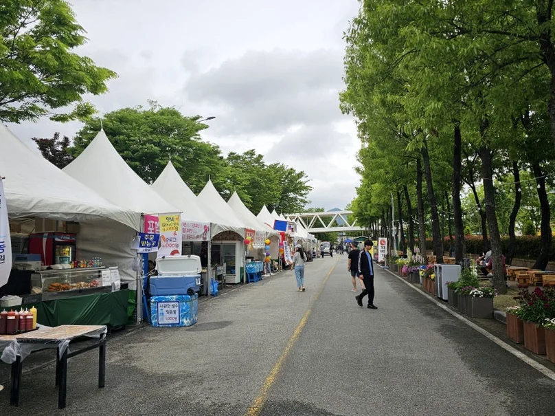 White festival tents line the pathway, hinting at the lively local flavors and community spirit found during the village's peak celebrations. - The Floral Monarchy: Rediscovering Nostalgia at Gokseong Seomjingang Train Village