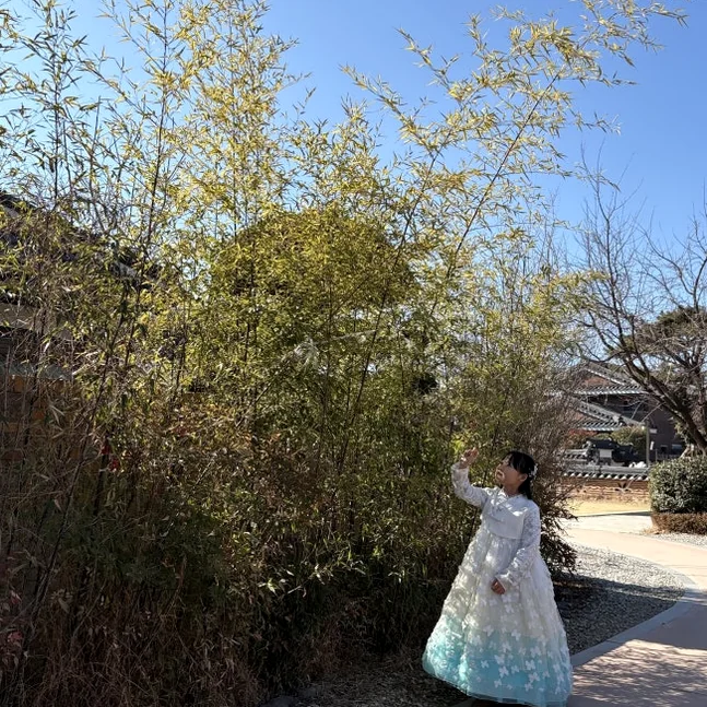 白と水色の韓服を着た人が高い竹林の中に立っており、穏やかな伝統的な雰囲気を捉えています。 - 全州韓屋村で優雅な韓服体験：『貴族衣装室』で叶える特別な一日