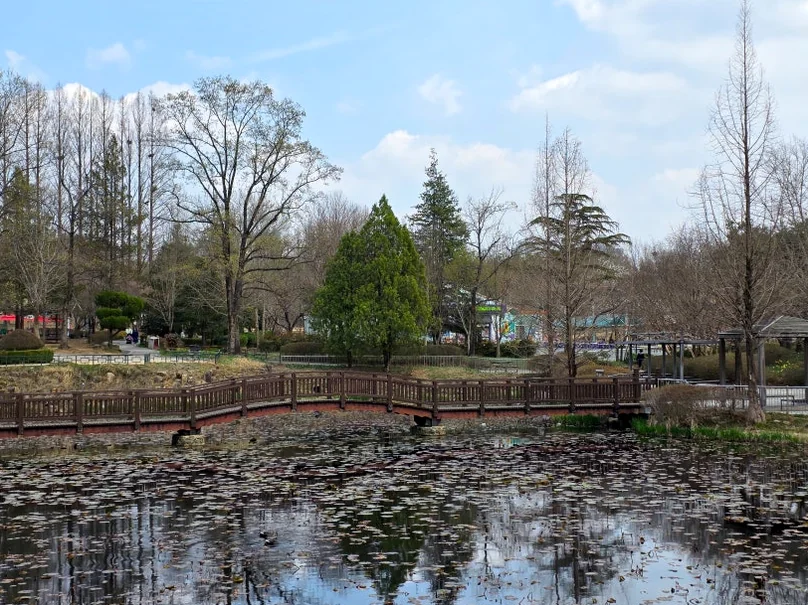 A tranquil pond reflecting the surrounding willow trees and soft sky, offering a moment of zen within the bustling zoo. - Nostalgic Sanctuaries: Jeonju Zoo and the 2026 Eco-Aesthetic Evolution