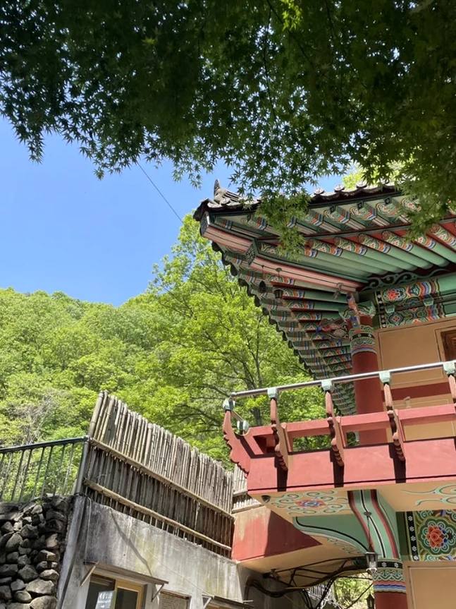 alt="Traditional Dancheong eaves frame the lush spring greenery, showcasing the harmonious balance between man-made art and the natural landscape." - Golgulsa Temple: Ascetic Luxury in Gyeongju’s Sacred Limestone Grottoes