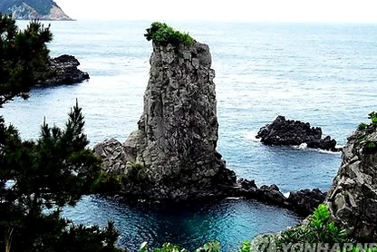 済州オルレ길7コースの散策路 - 西帰浦外ドルゲ：済州の絶景を巡るハイエンドガイド