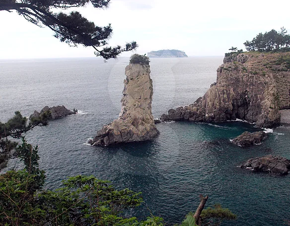 青い海と岩のコントラスト - 西帰浦外ドルゲ：済州の絶景を巡るハイエンドガイド