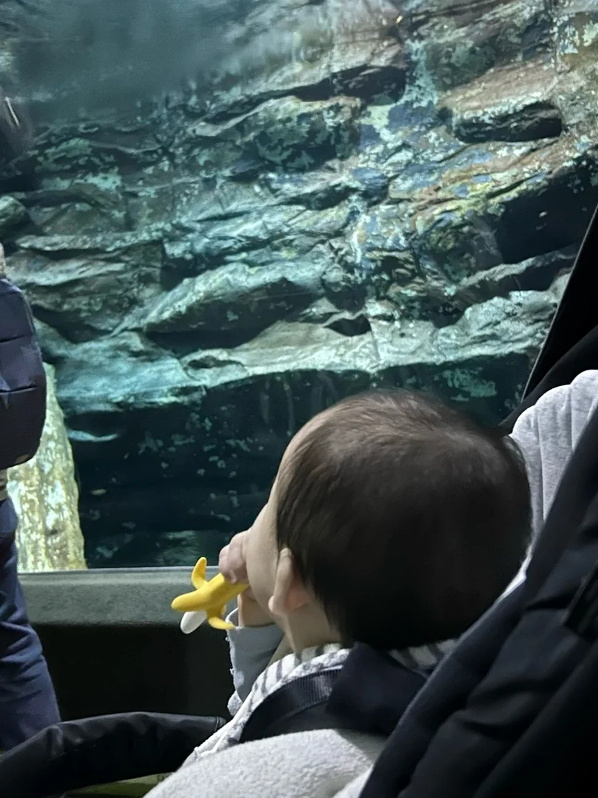 A baby in a stroller moving along a textured stone wall inside the aquarium, with small, illuminated windows offering glimpses into various marine habitats. - Lotte World Jamsil: The Ultimate Multi-Layered Fantasy Realm in Seoul