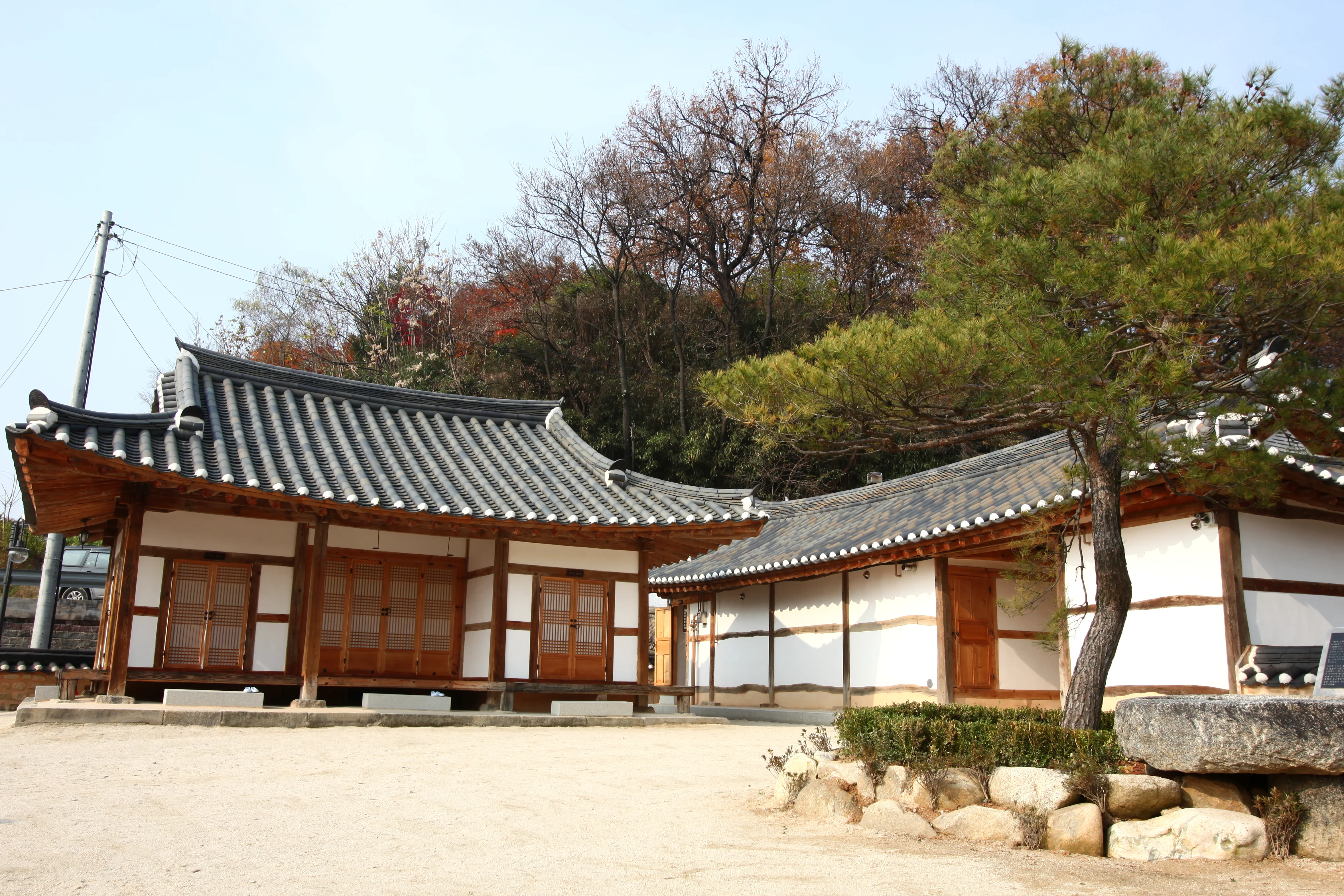 alt:全州郷校の歴史を感じさせる壮大な銀杏の木 - 全州伝統文化研修院：韓屋村の奥深くで出逢う真の韓国美