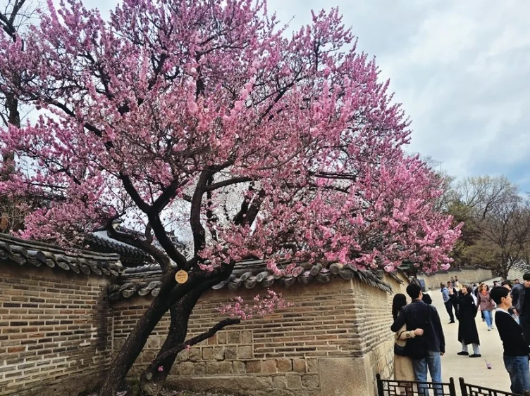 Detailed night views of palace structures