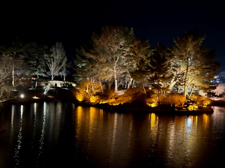 Ancient trees illuminated by night lights reflecting hauntingly beautiful shapes on the still water - Beyond the Moonlight: The Timeless Allure of Gyeongju Donggung Palace and Wolji Pond