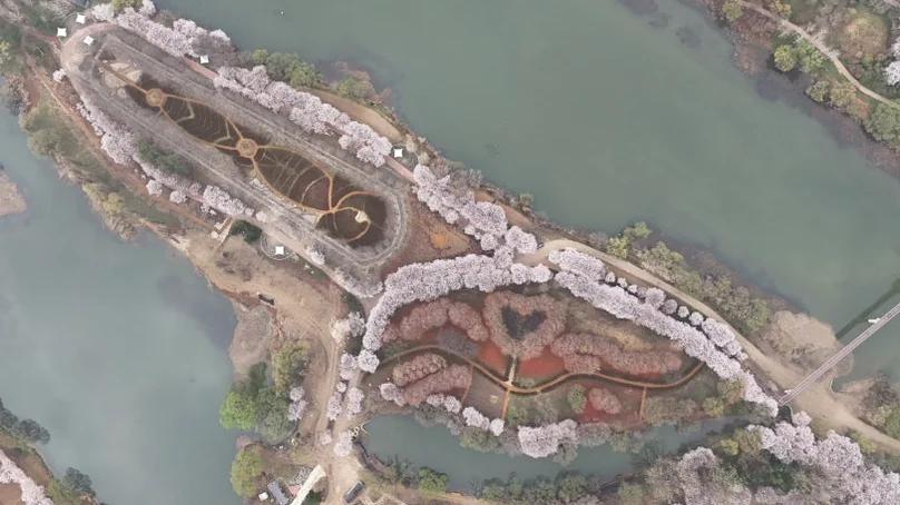 자라섬 남도 꽃정원의 특정 구역을 위에서 내려다본 항공 사진입니다. 다양한 식물로 정교하게 디자인된 하트 모양 등 패턴을 확인할 수 있어 '꽃정원'의 특색을 명확히 보여줍니다. - Jaraseom Namdo Flower Garden: A K-Travel Guide to Gapyeong's 'Colorful Garden' Festival