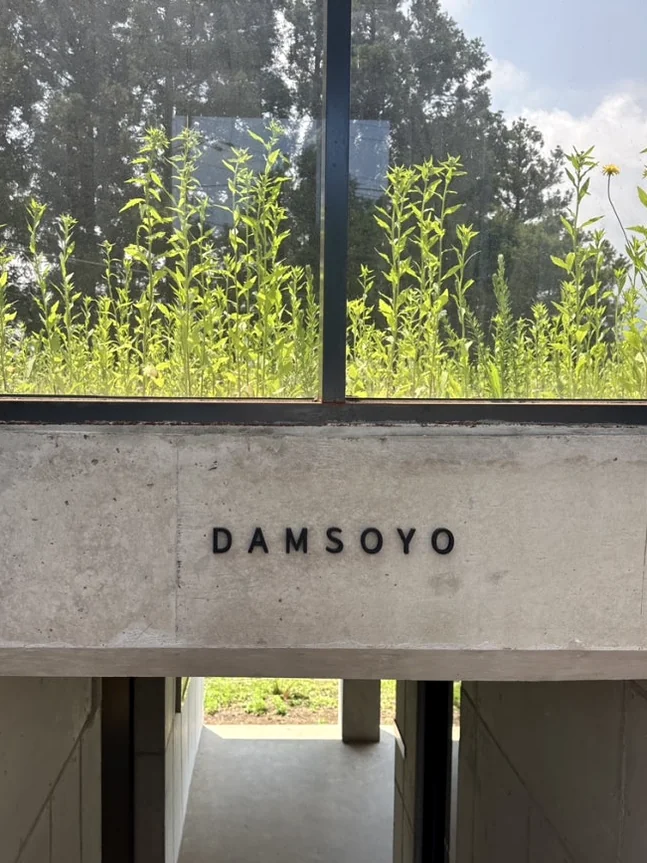 건축적 선미와 상단의 녹음이 조화를 이루는 입구의 상징적인 수직 구도 사진 - 済州島の静寂を歩く。ハルラ山の麓に佇む秘密の庭園カフェ「ダムソヨ（DAMSOYO）」完全ガイド ✨