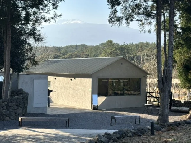 한라산의 능선과 울창한 숲을 배경으로 한 담소요 건축물의 평화로운 전경 - 済州島の静寂を歩く。ハルラ山の麓に佇む秘密の庭園カフェ「ダムソヨ（DAMSOYO）」完全ガイド ✨