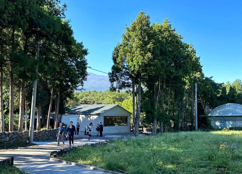 정돈된 보행로와 수목이 어우러진 진입로를 보여주는 정보성 가이드 컷 - 済州島の静寂を歩く。ハルラ山の麓に佇む秘密の庭園カフェ「ダムソヨ（DAMSOYO）」完全ガイド ✨