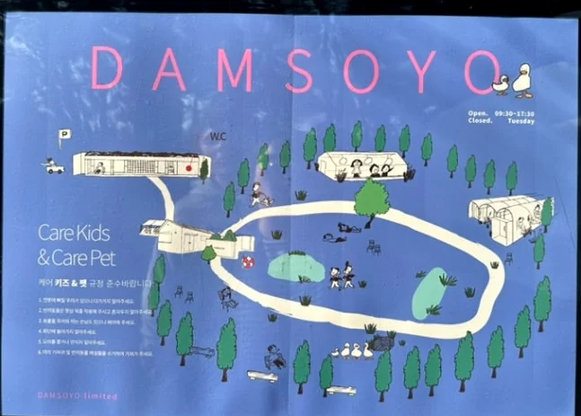 방문객의 동선을 돕는 시각적으로 명확한 일러스트 기반의 공간 지도 - 済州島の静寂を歩く。ハルラ山の麓に佇む秘密の庭園カフェ「ダムソヨ（DAMSOYO）」完全ガイド ✨