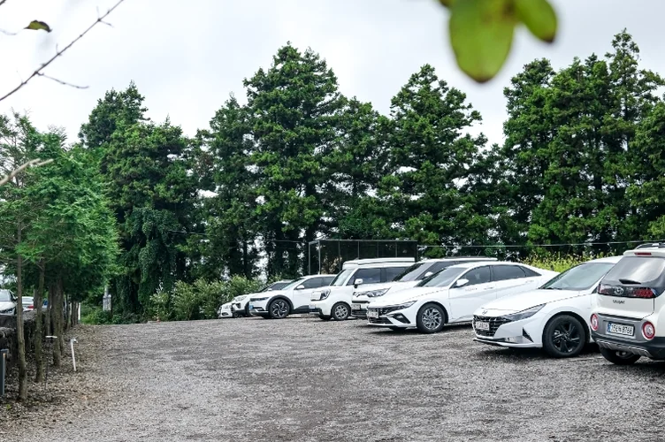 방문객 편의를 위한 넓고 쾌적한 주차 공간 및 주변 환경 정보 컷 - 済州島の静寂を歩く。ハルラ山の麓に佇む秘密の庭園カフェ「ダムソヨ（DAMSOYO）」完全ガイド ✨