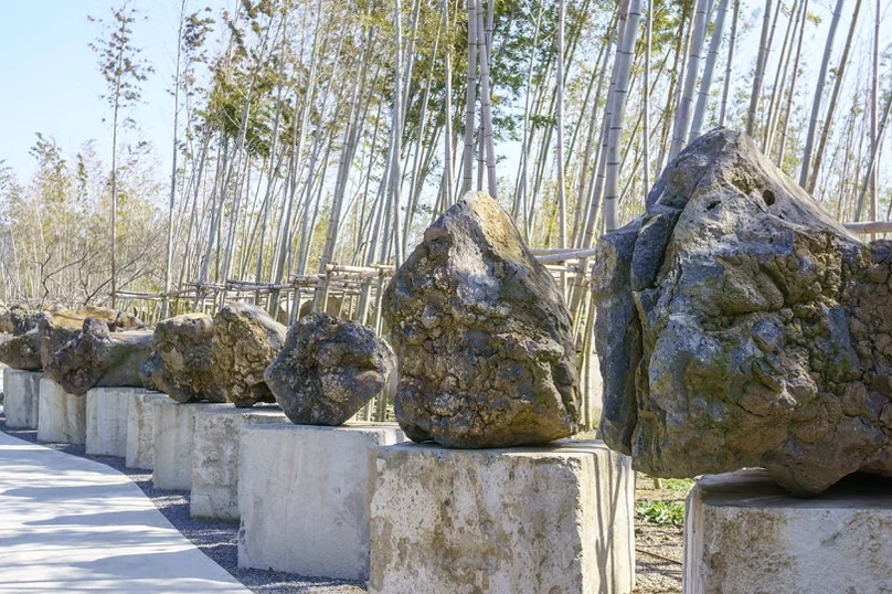 정교하게 큐레이션된 기암괴석 전시 공간의 조형미 - A Journey into Jeju's Volcanic Soul: Exploring the Pahoehoe Lava Field Park in Aewol