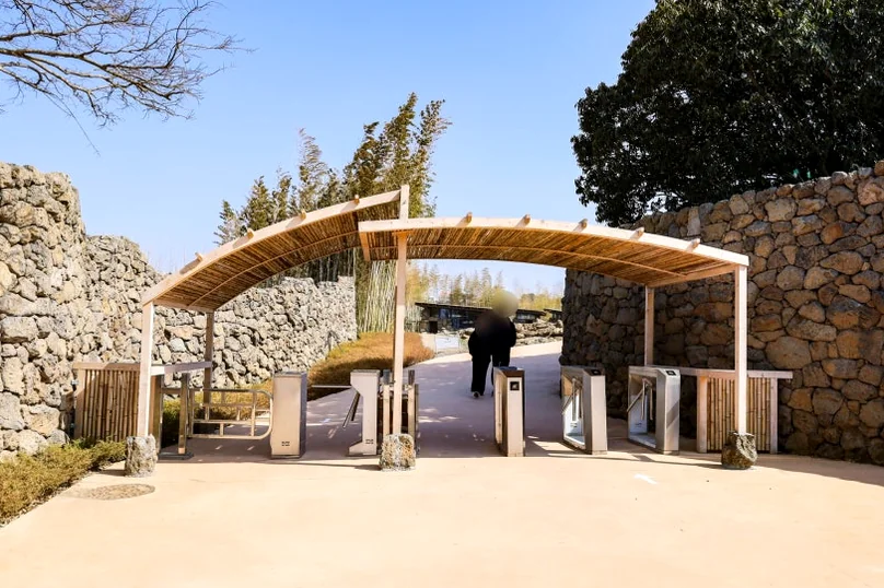 Jeju Pahoehoe Lava Field Park