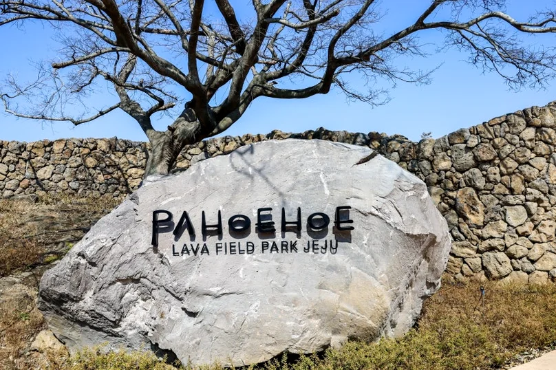 Jeju Pahoehoe Lava Field Park