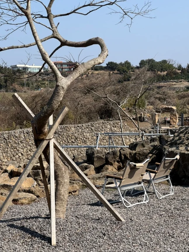 Jeju Pahoehoe Lava Field Park