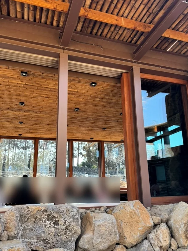 Jeju Pahoehoe Lava Field Park