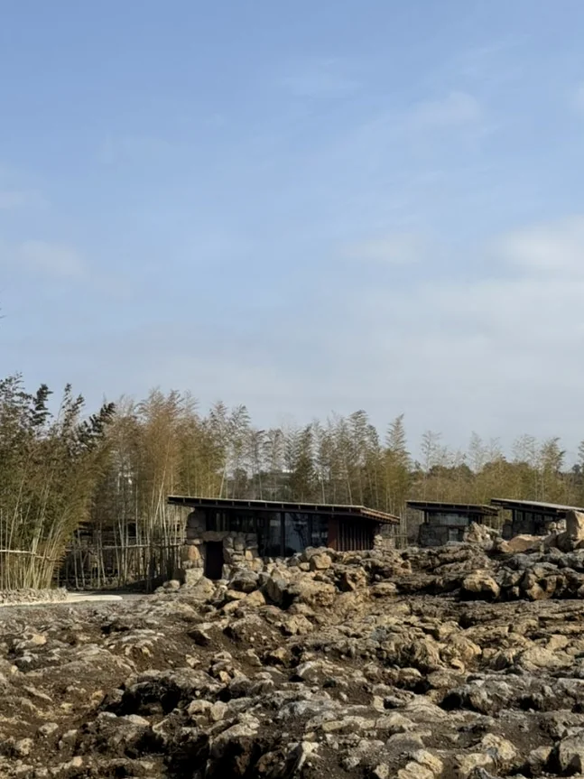 Jeju Pahoehoe Lava Field Park