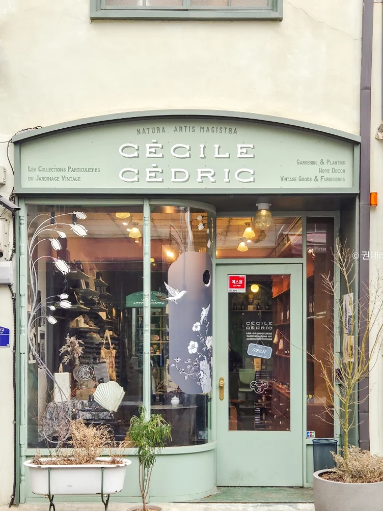 Featured image of post 2026年ソウル・新堂洞(シンダンドン)で見つけた、パリの記憶。ライフスタイルショップ『セシル・アンド・セドリック(Cecile Cedric)』へ