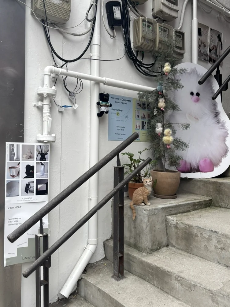 A ginger cat sitting on concrete stairs next to posters - 漢南洞の美学に触れる。フレグランスブランド 'Pesade' と感性を磨くソウル散策ガイド