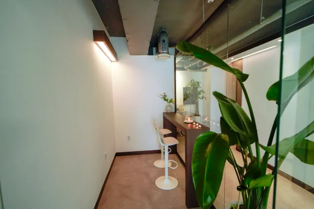 Minimalist bar area with two white stools and a large green plant - ソウル新堂洞(シンダンドン)で見つける極上タイマッサージ:カシアタイでの癒し体験 ✨