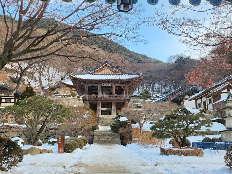 Overview of the temple complex with snow-covered roofs and mountain scenery. - 時を止めた千年古刹、安東・鳳停寺(ポンジョンサ)へ。韓国最古の木造建築と出会う静謐な旅