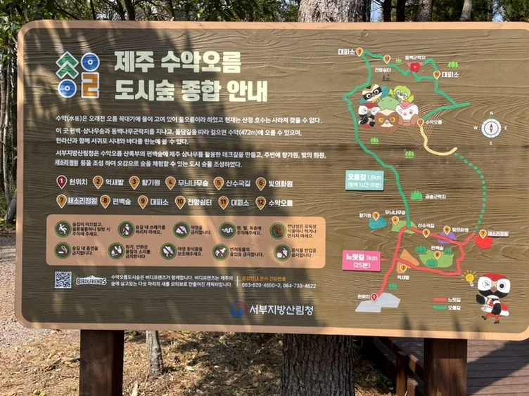 Featured image of post 済州島、心癒される森の道へ：水岳オルムとモチェワッの秘密 🌿