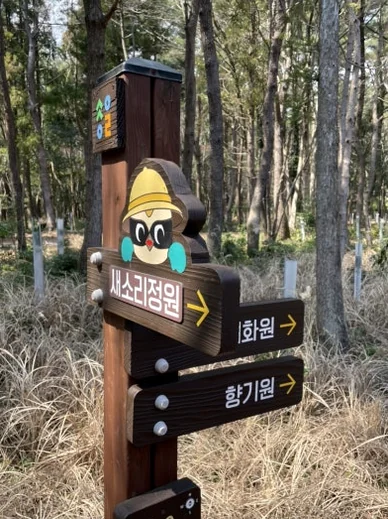 A wooden signpost with a cartoon character, featuring directional arrows pointing to '세소정원', '화원', and '향기원' in a forest. - 済州島、心癒される森の道へ：水岳オルムとモチェワッの秘密 🌿