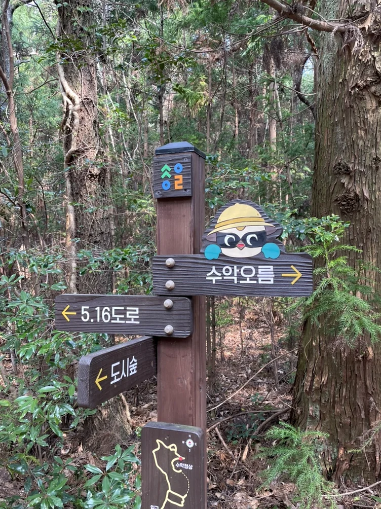 A wooden signpost with a cartoon character, featuring directional arrows pointing to '수악오름' and '5.16도로' in a forest. - 済州島、心癒される森の道へ：水岳オルムとモチェワッの秘密 🌿