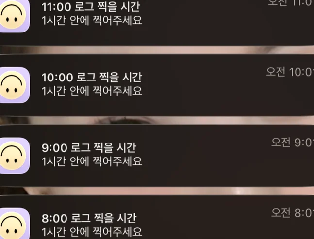 Featured image of post 2026年韓国トレンド！友人との日常を刻む共有Vlogアプリ「setlog（セットログ）」の魅力