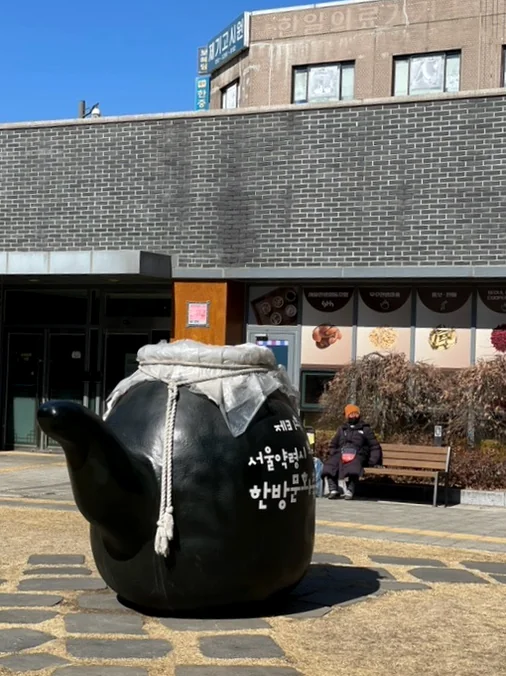 박물관 앞 마당에 놓인 대형 약탕기 조형물. 한의약박물관의 상징적인 오브제로 현장감을 더합니다. - ソウル薬令市韓医学博物館：五感で巡る、韓国伝統医療の魅力と癒し体験🌿