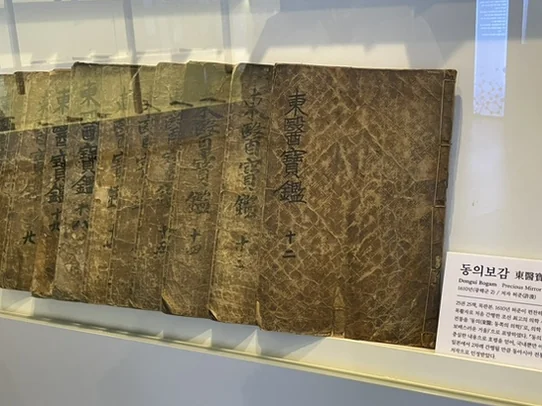 전시된 고문서 유물. 오래된 종이의 질감과 상세한 내용을 고화질로 담아 전통 한의약의 역사를 엿볼 수 있습니다. - ソウル薬令市韓医学博物館：五感で巡る、韓国伝統医療の魅力と癒し体験🌿