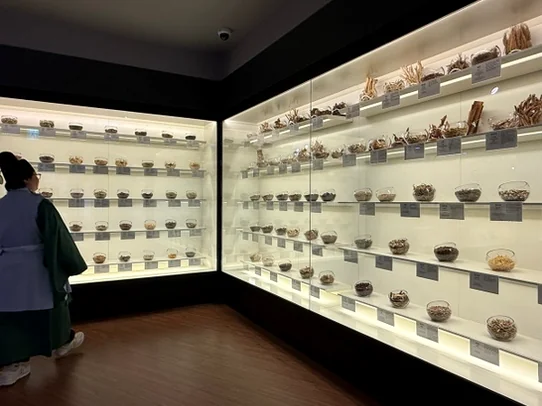 다양한 약재가 진열된 전시관을 한복 입은 관람객의 뒷모습 시점에서 바라본 전경. 체험적 요소를 암시합니다. - ソウル薬令市韓医学博物館：五感で巡る、韓国伝統医療の魅力と癒し体験🌿