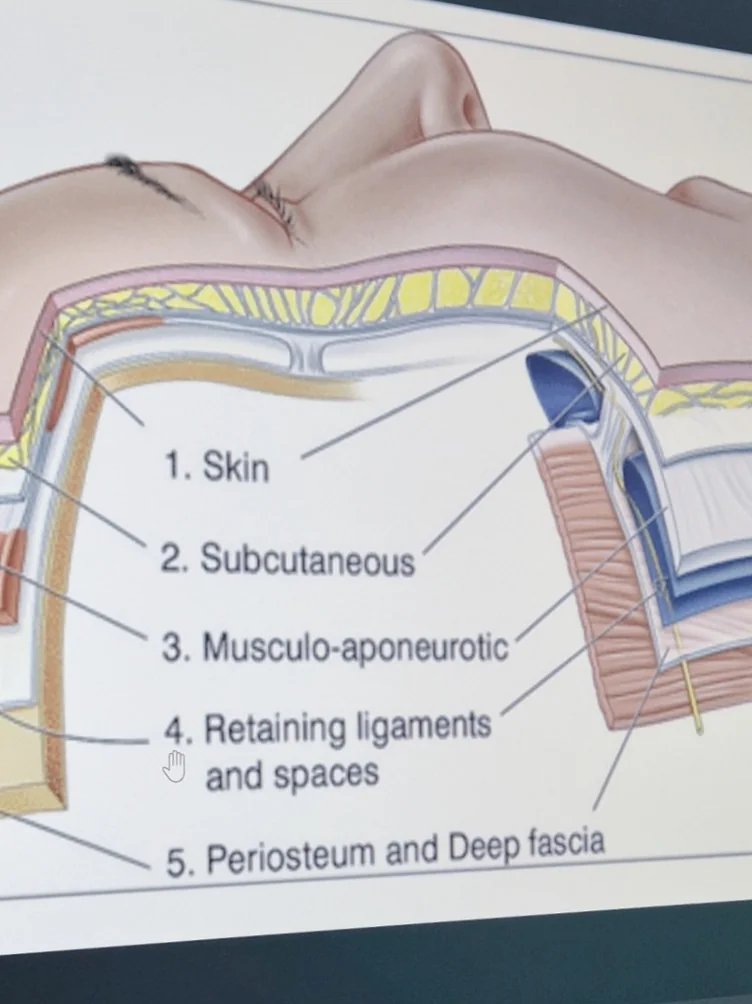 肌の層別構造を分析し、一人ひとりに最適な設計を提案する相談画面 - 2026年、ソウルの美意識が選ぶ「レッドタッチ・プロ」。コラーゲンを呼び覚ます、次世代の肌管理