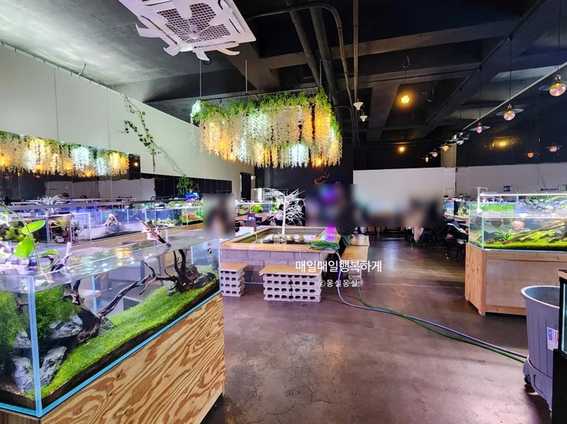 수조와 좌석 배치를 한눈에 조망할 수 있어 매장의 전체적인 규모와 분위기를 전달하는 파노라마 컷 - Finding Inner Peace at Mini Pond: The Definitive Guide to Aquatic Healing in Yeongjongdo